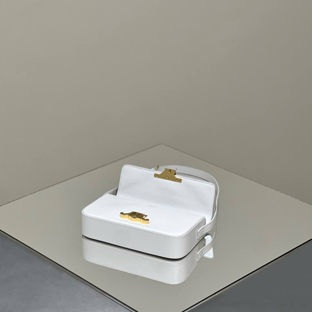 🔥大货实拍图 𝗖𝗘𝗟𝗜𝗡𝗘 ♥ 𝗧𝗥𝗜𝗢𝗠𝗣𝗛𝗘 𝗦𝗛𝗢𝗨𝗟𝗗𝗘𝗥 𝗕𝗔𝗚 型号：194143 尺寸：20*10*4cm