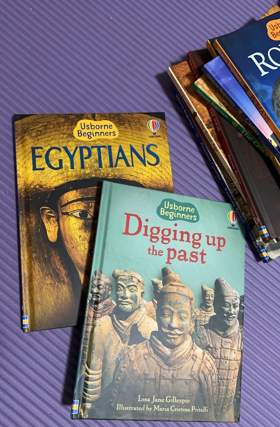 Usborne beginners Science History Animals Nature