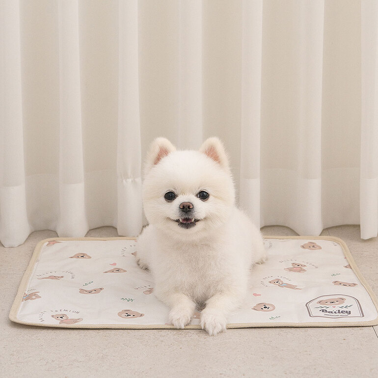 *Bailey🇰🇷泰迪熊冰涼墊