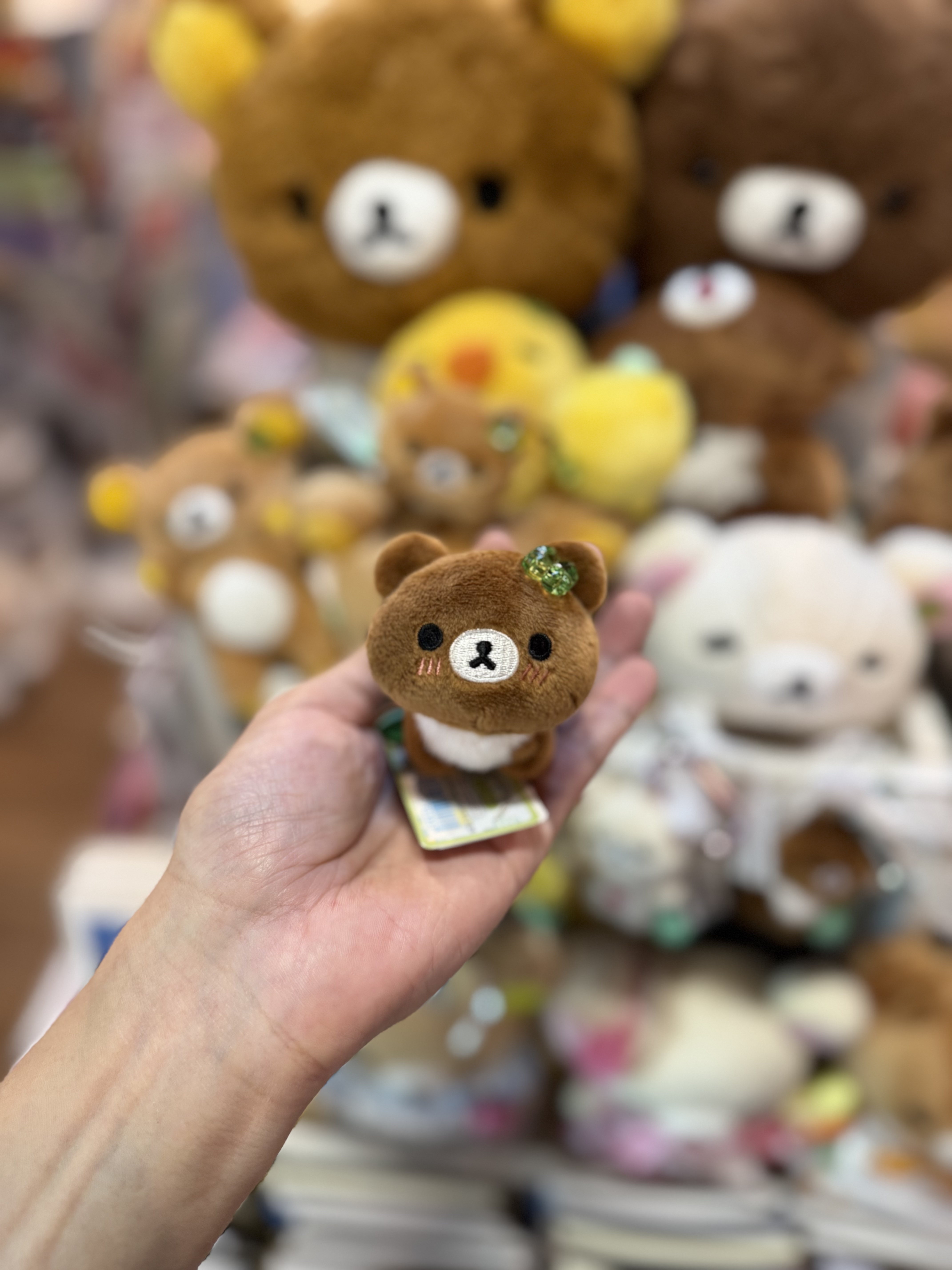 《現貨》全新小熊10週年紀念四葉草系列趴地手玉公仔