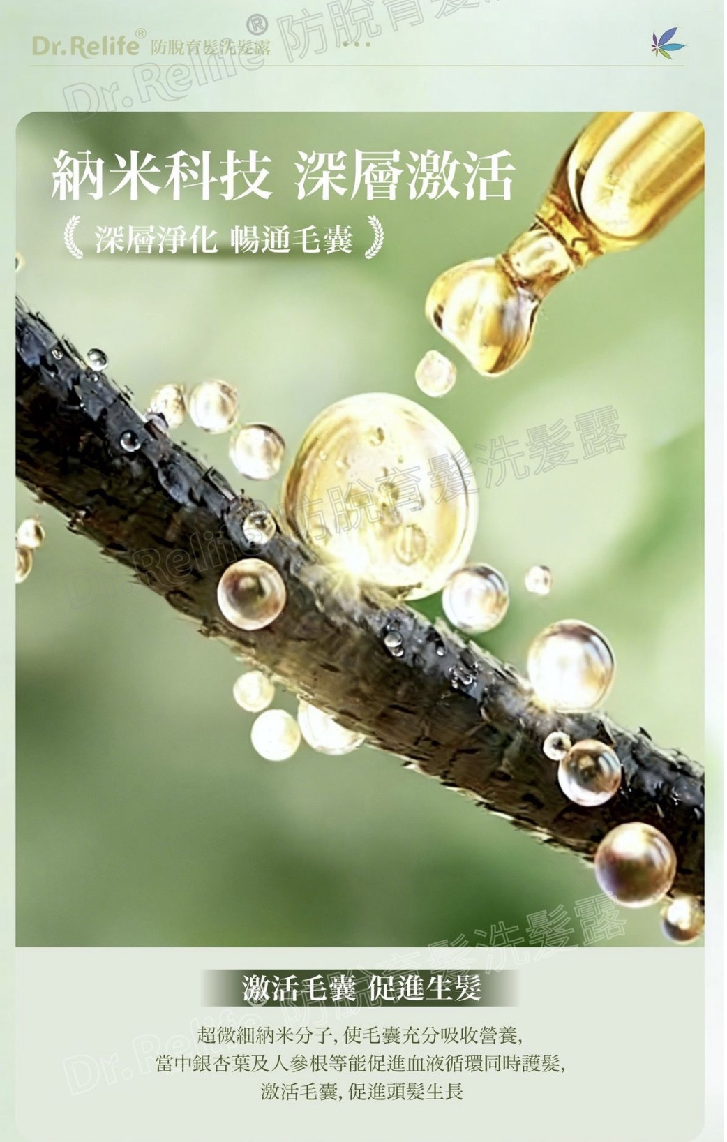 Dr.Relife 防脫洗髪露/護髮素