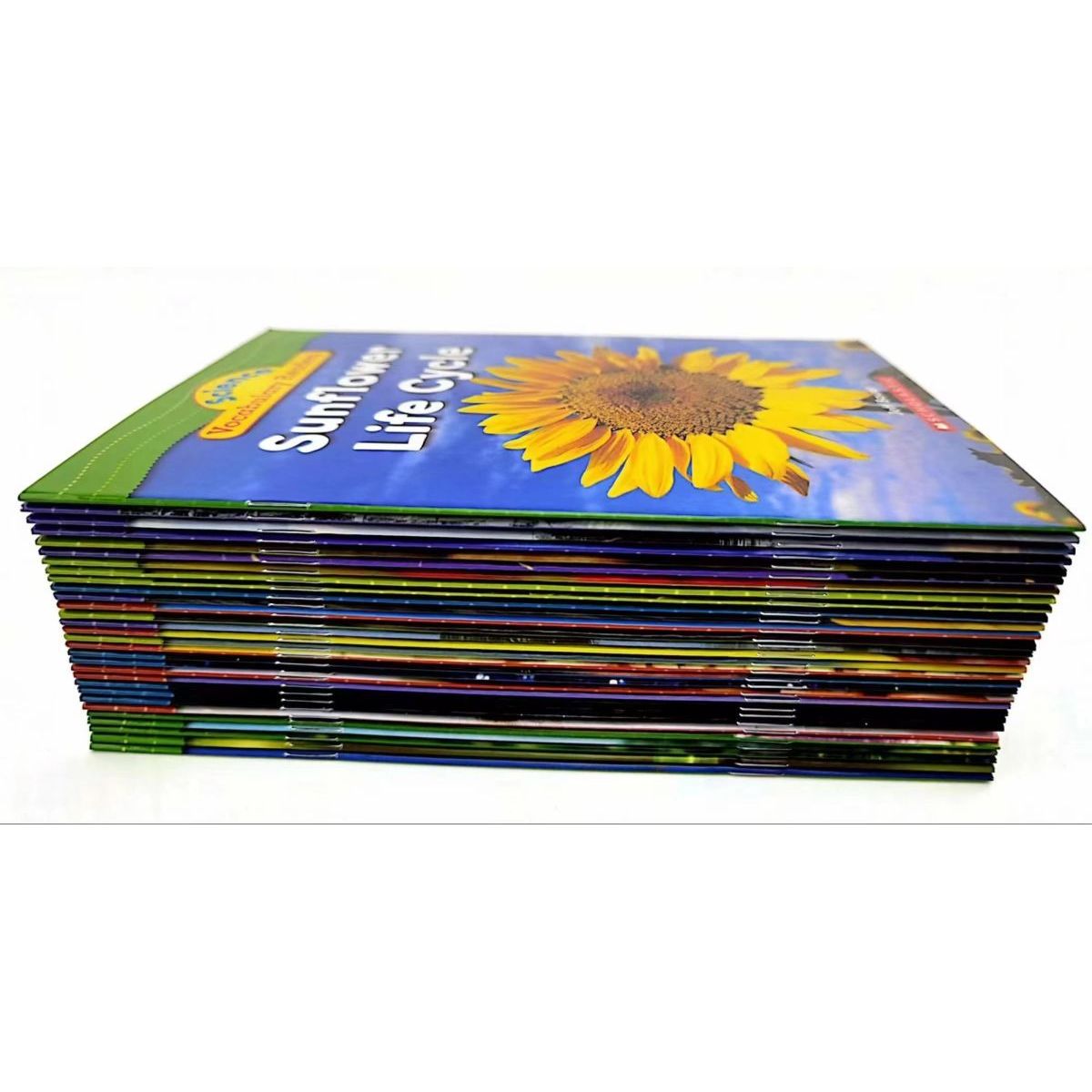 Scholastic Science Vocabulary Readers L1 (30冊) S83 | Children's 