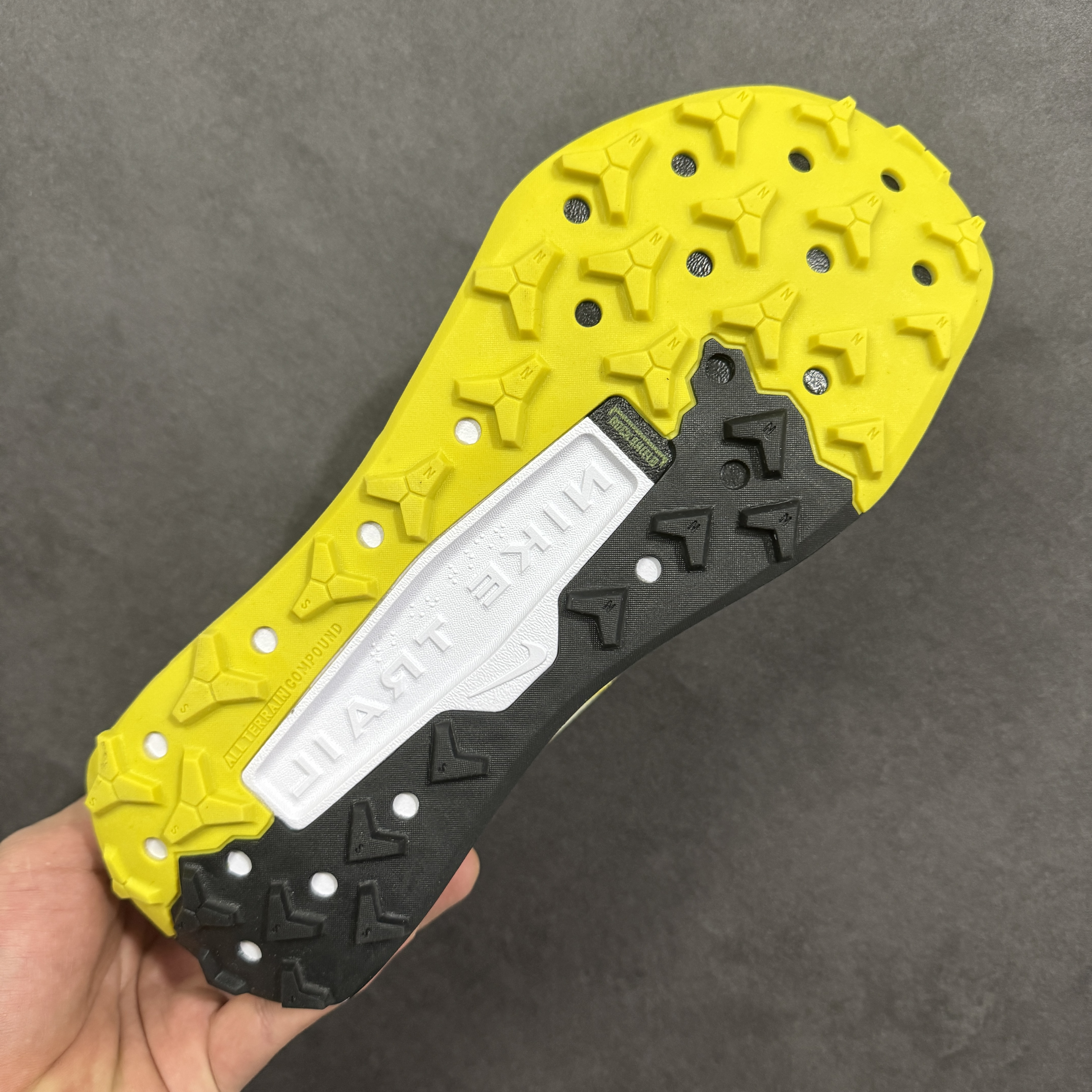 Nike Wildhorse 10 FV2338-700