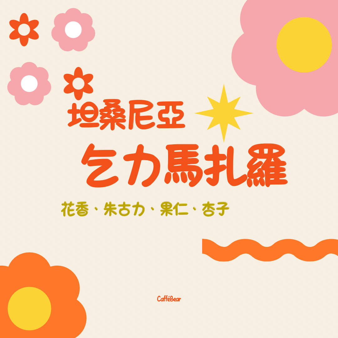 坦桑尼亞乞力馬扎羅  -水洗中烘焙