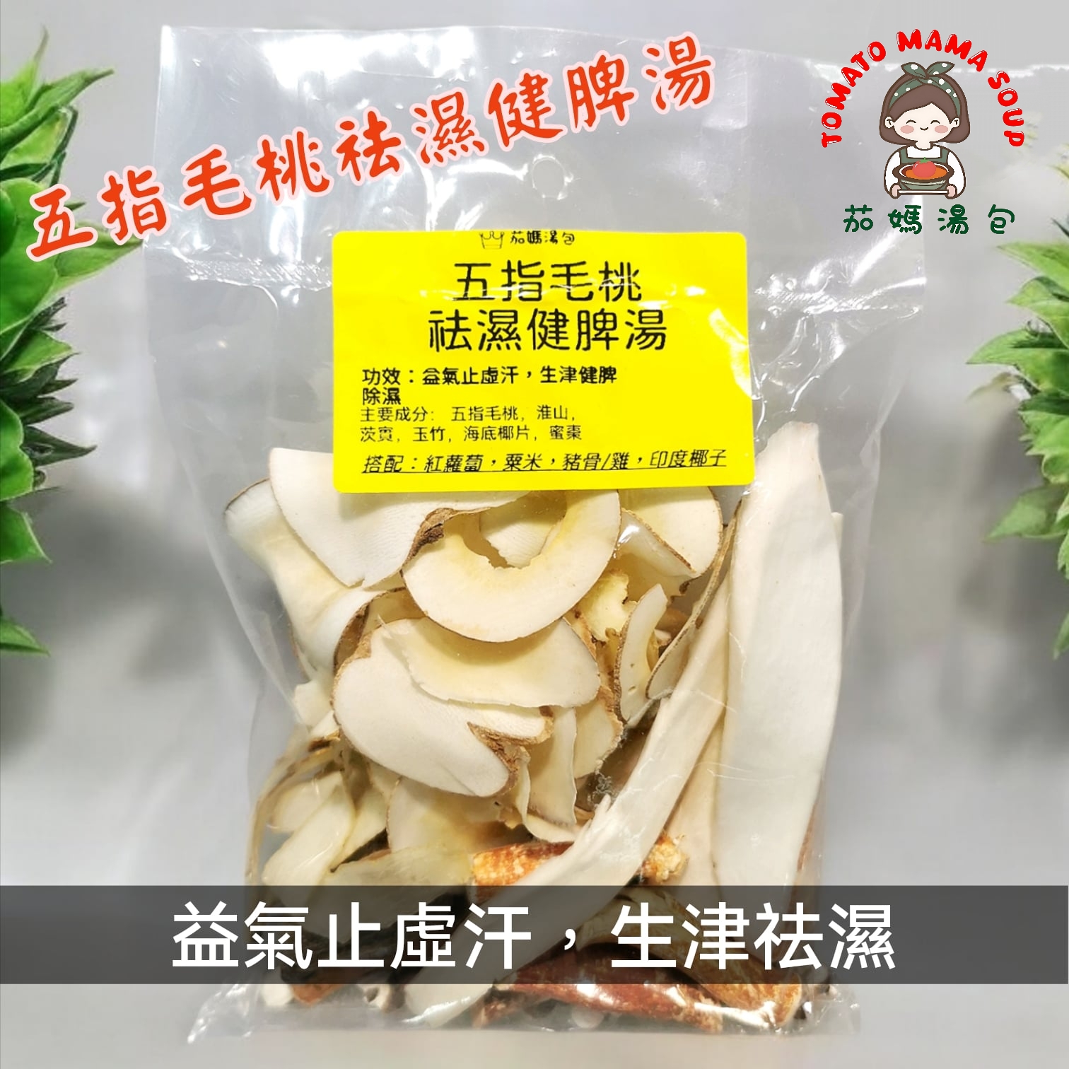 五指毛桃祛濕健脾湯