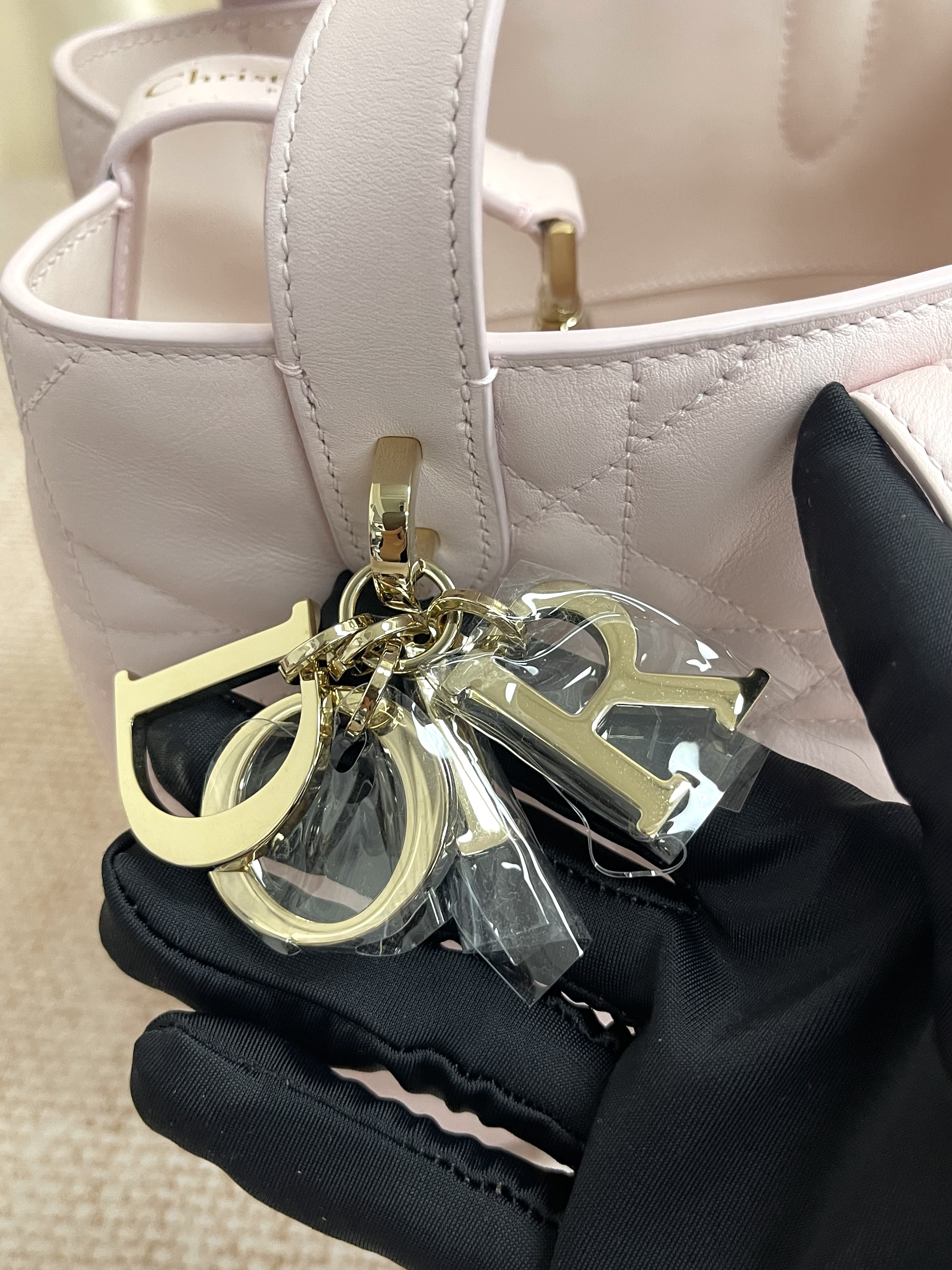 Pre-owned Dior Small Toujours Vertical Tote Bag