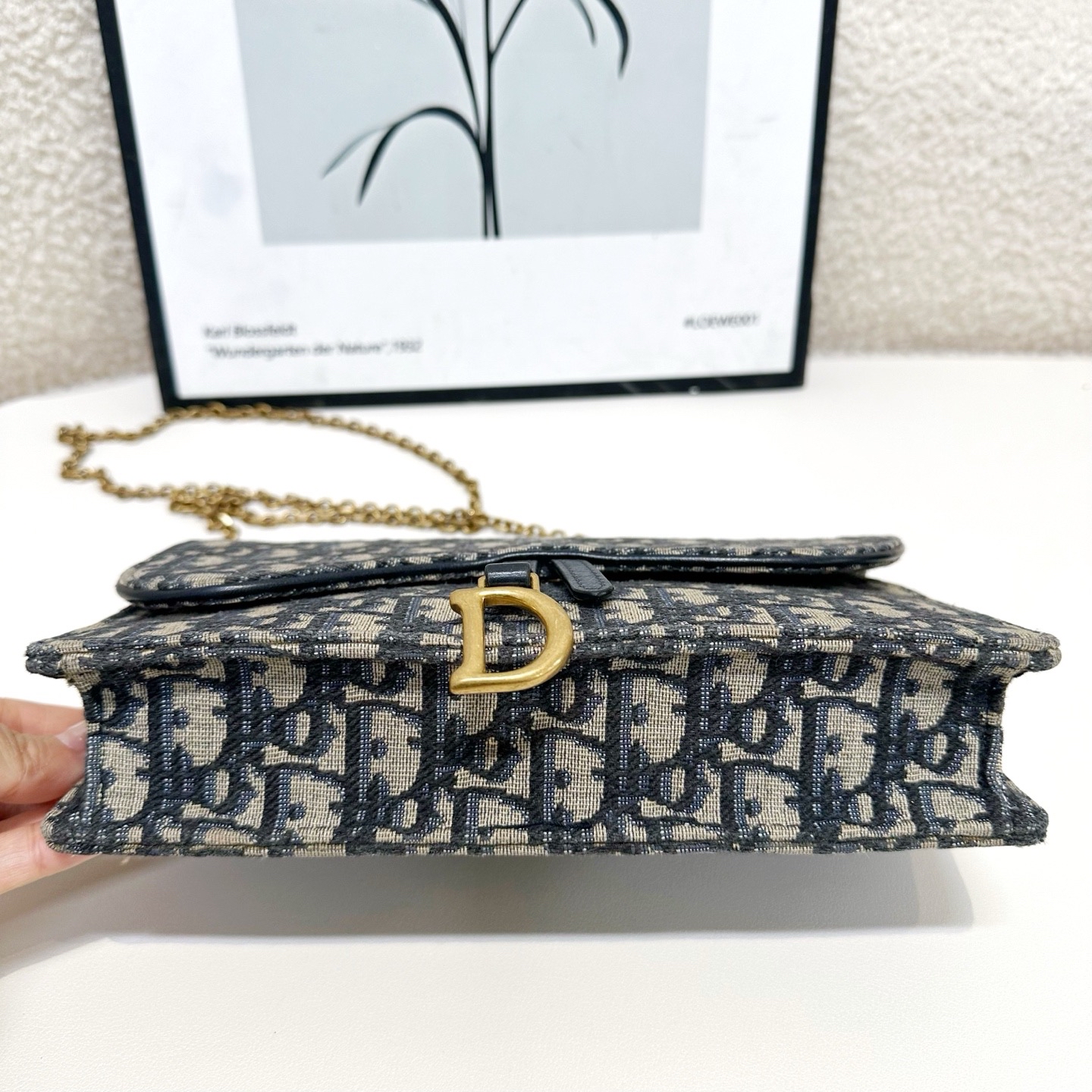 【預訂貨品】Dior Saddle 經典老花信封包