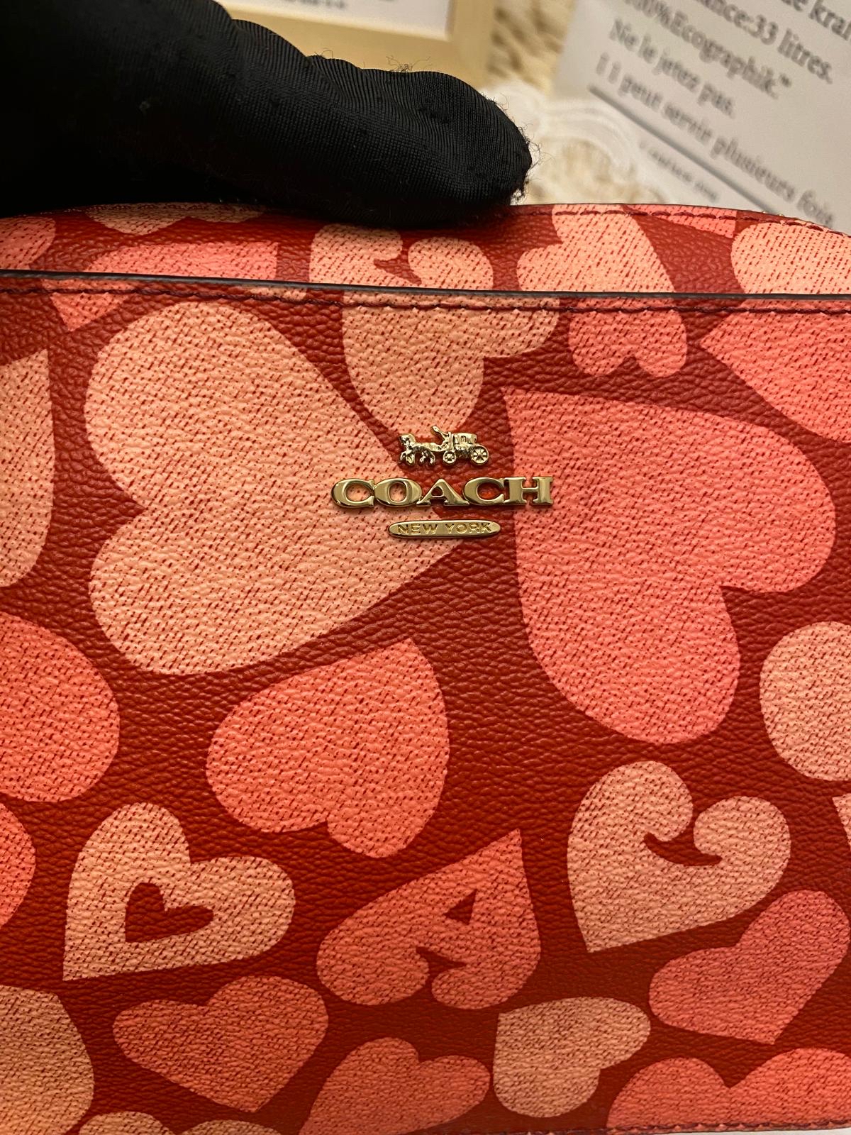 Coach Mini Camera Bag With Heart Print