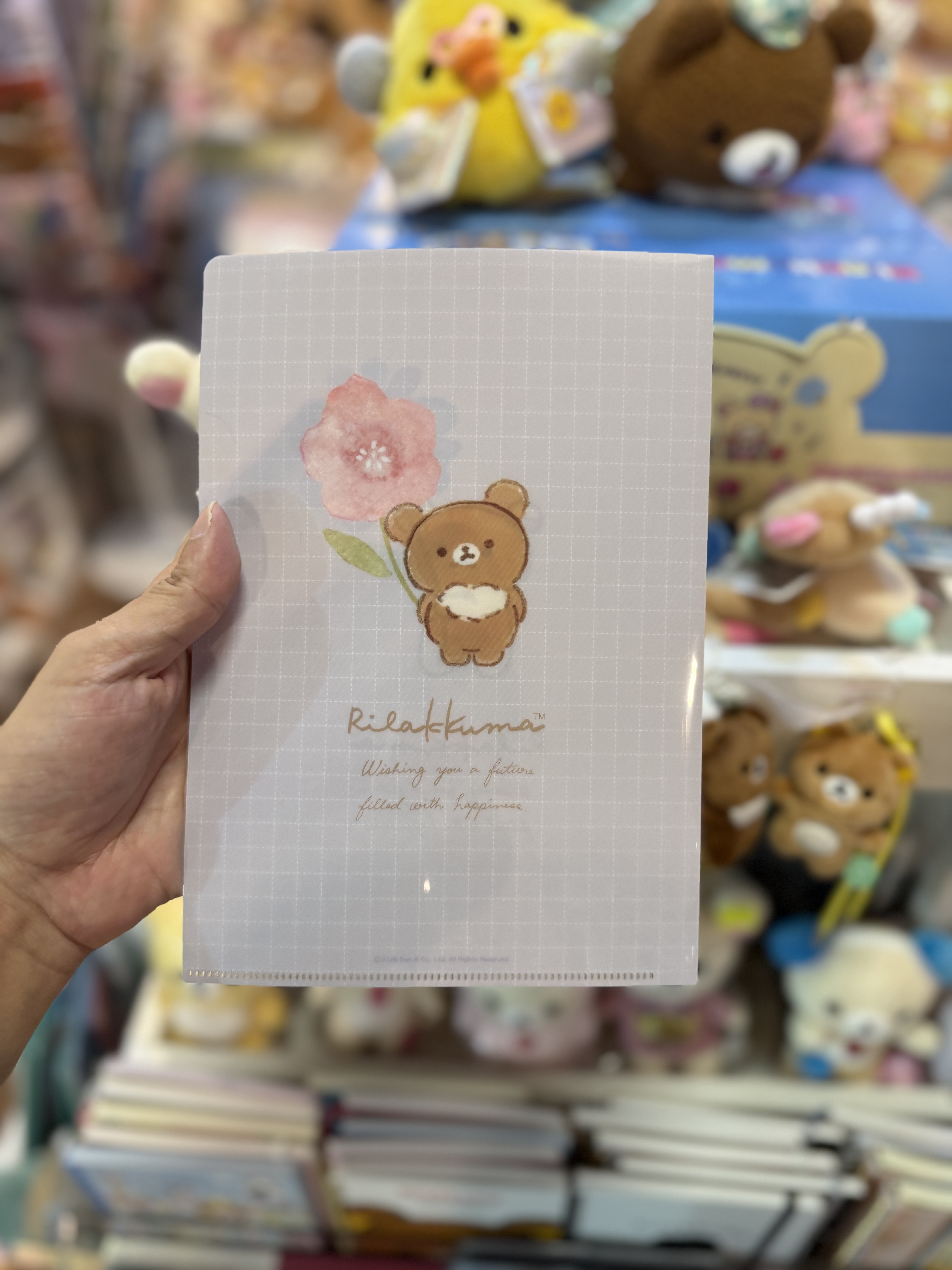 《現貨》全新日本郵便局限定 Rilakkuma A5+A4file+收據袋