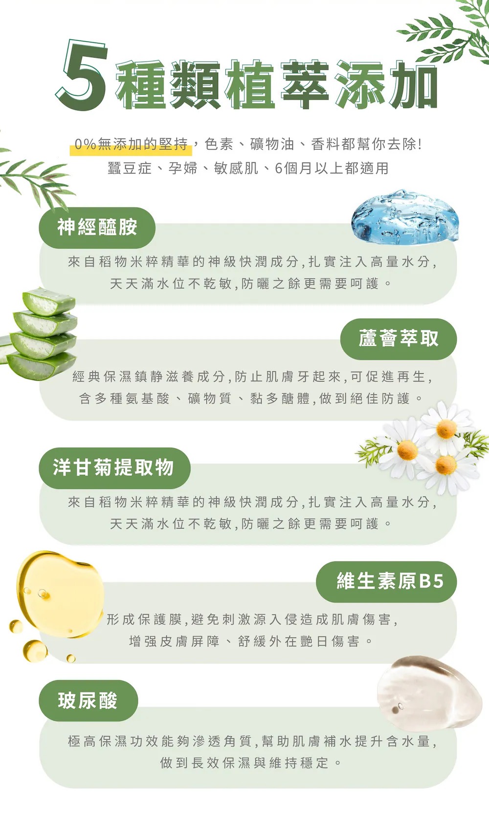 Wewee!極潤植萃防曬乳50ml