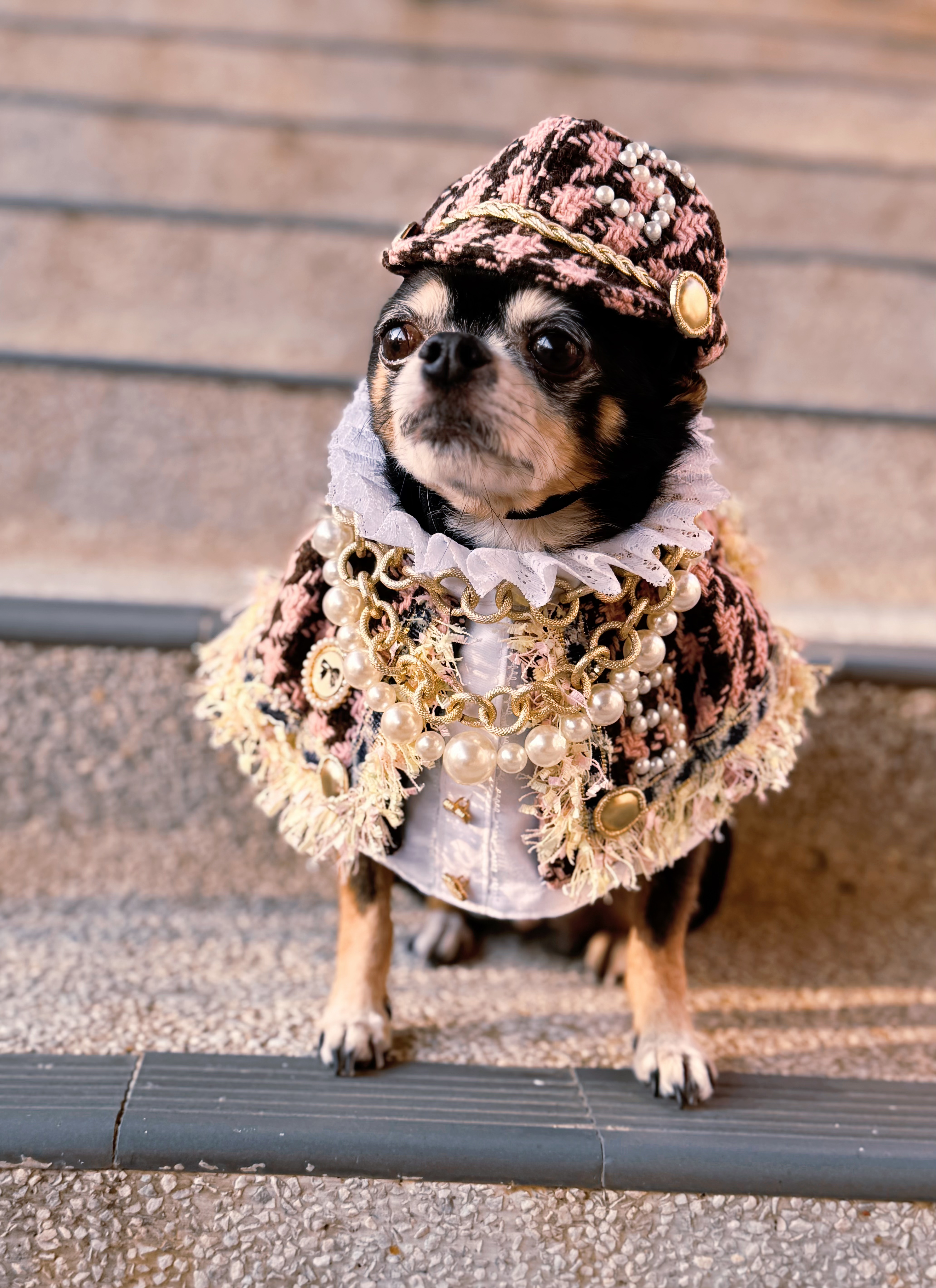 寵物原創設計 低調奢華小香風 寵物頸飾