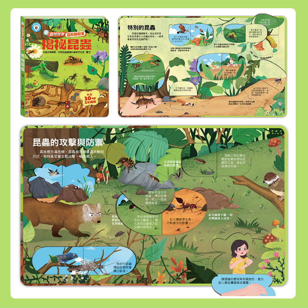 📚預訂 台灣直送📚百問百答圖解翻翻書-揭祕昆蟲