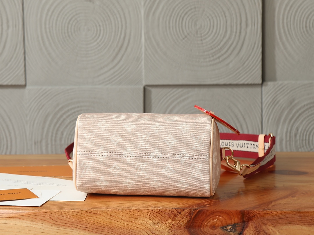 LV Louis Vuitton Speedy Bandouliere 20