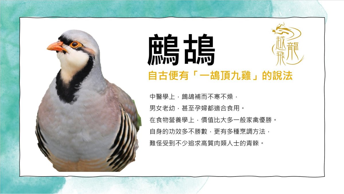 越飛龍甘氏無激素 鷓鴣皇 (300天)