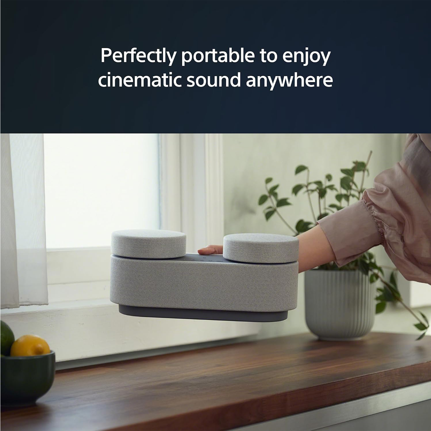 Sony Portable Theatre System Wireless Audio (HT-AX7)