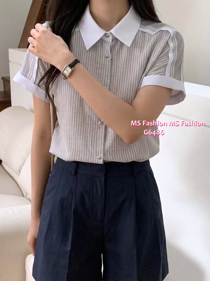 G6486 高質靚料條子恤