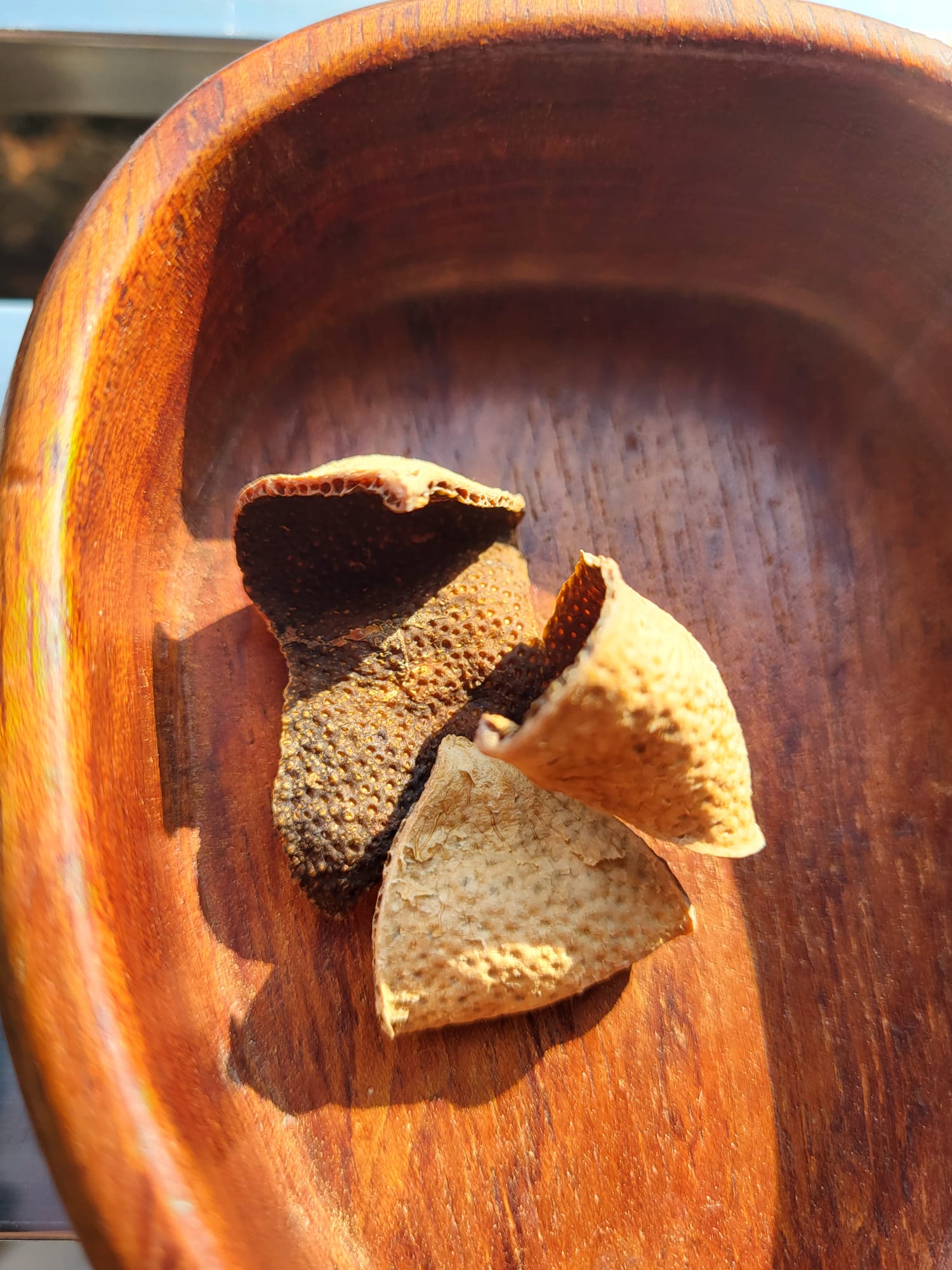 2019年 - 四花青<有需要請聯絡我們 852-6329 6186>