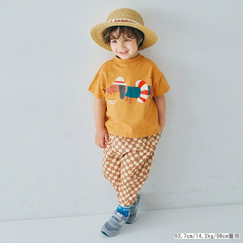 🆕【⭐訂購⭐】 🇯🇵日本直送🌀夏日圖案印花純棉Tee［10款選］🌀[ELBA-0201][260328]