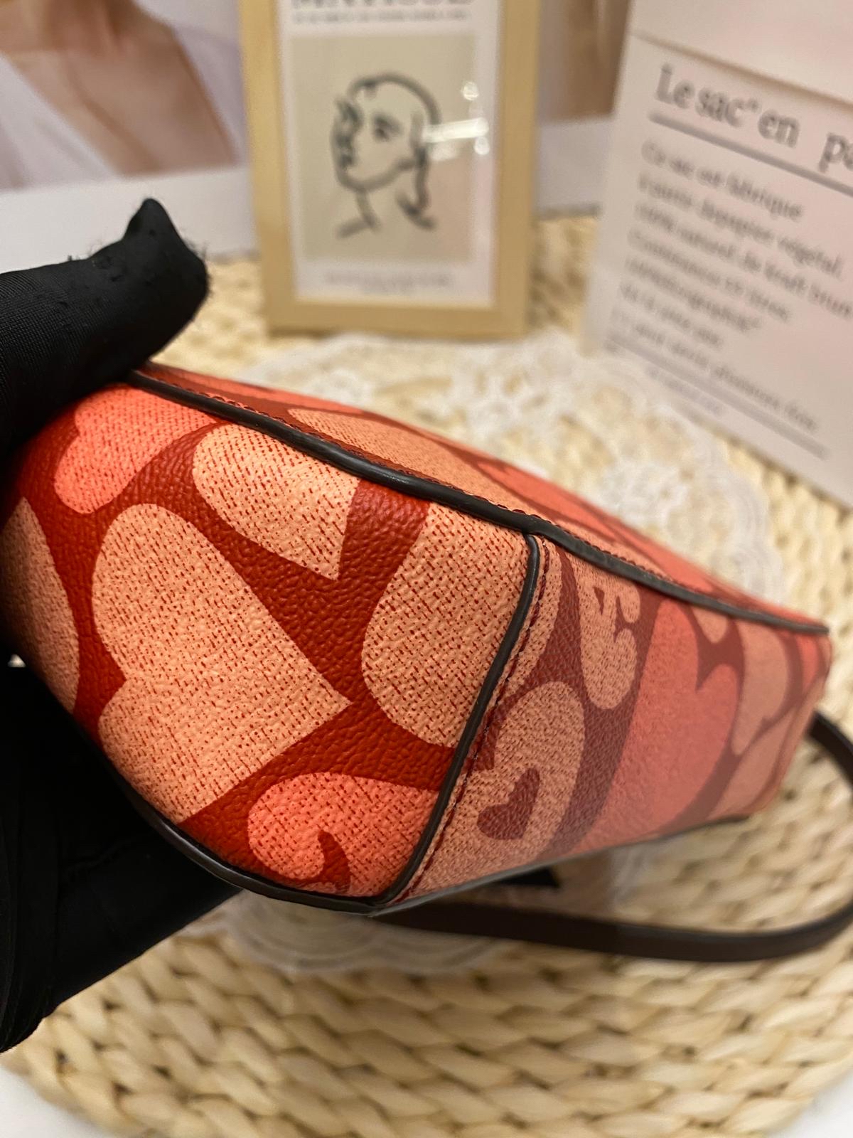 Coach Mini Camera Bag With Heart Print