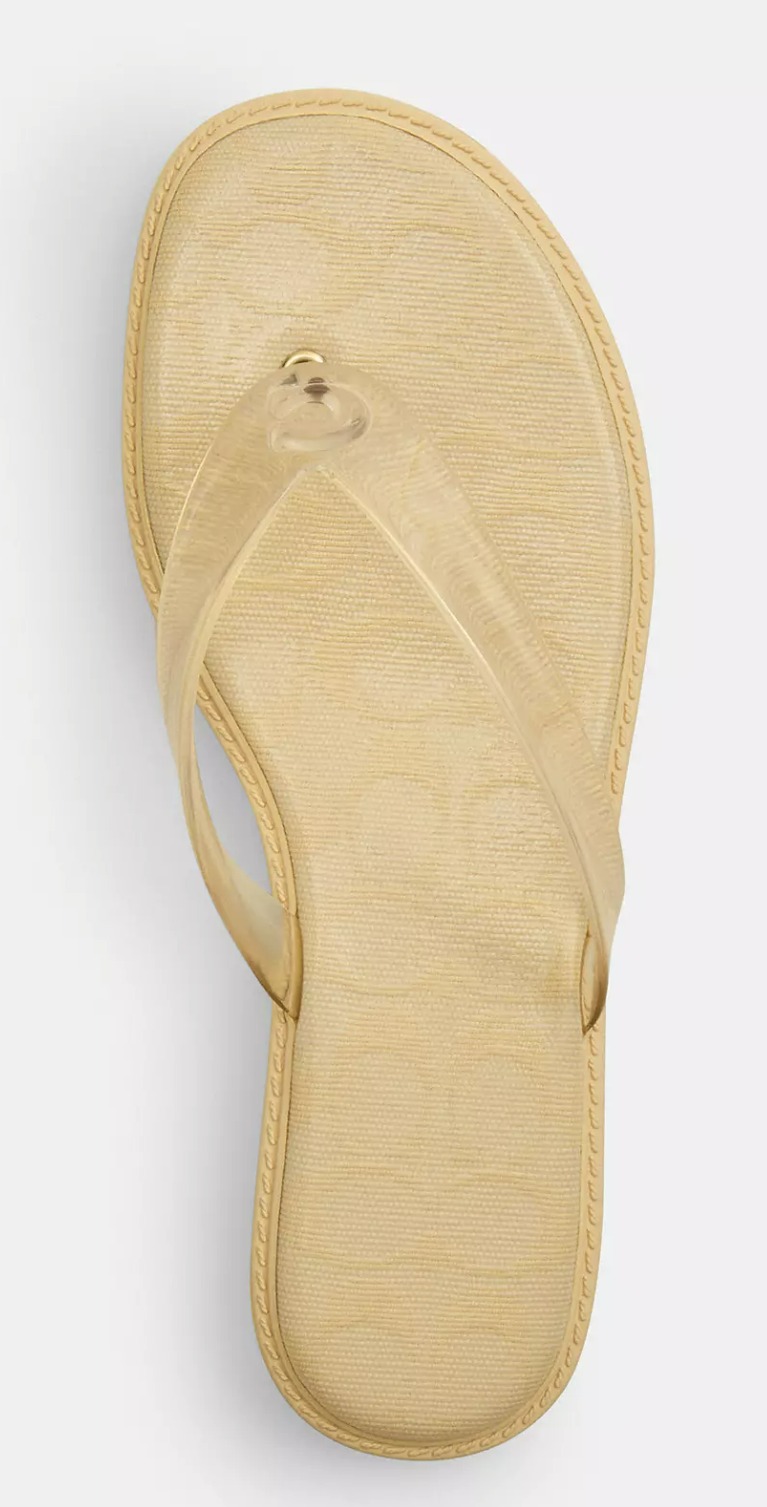 COACH Jelly Flip-Flops Sandals