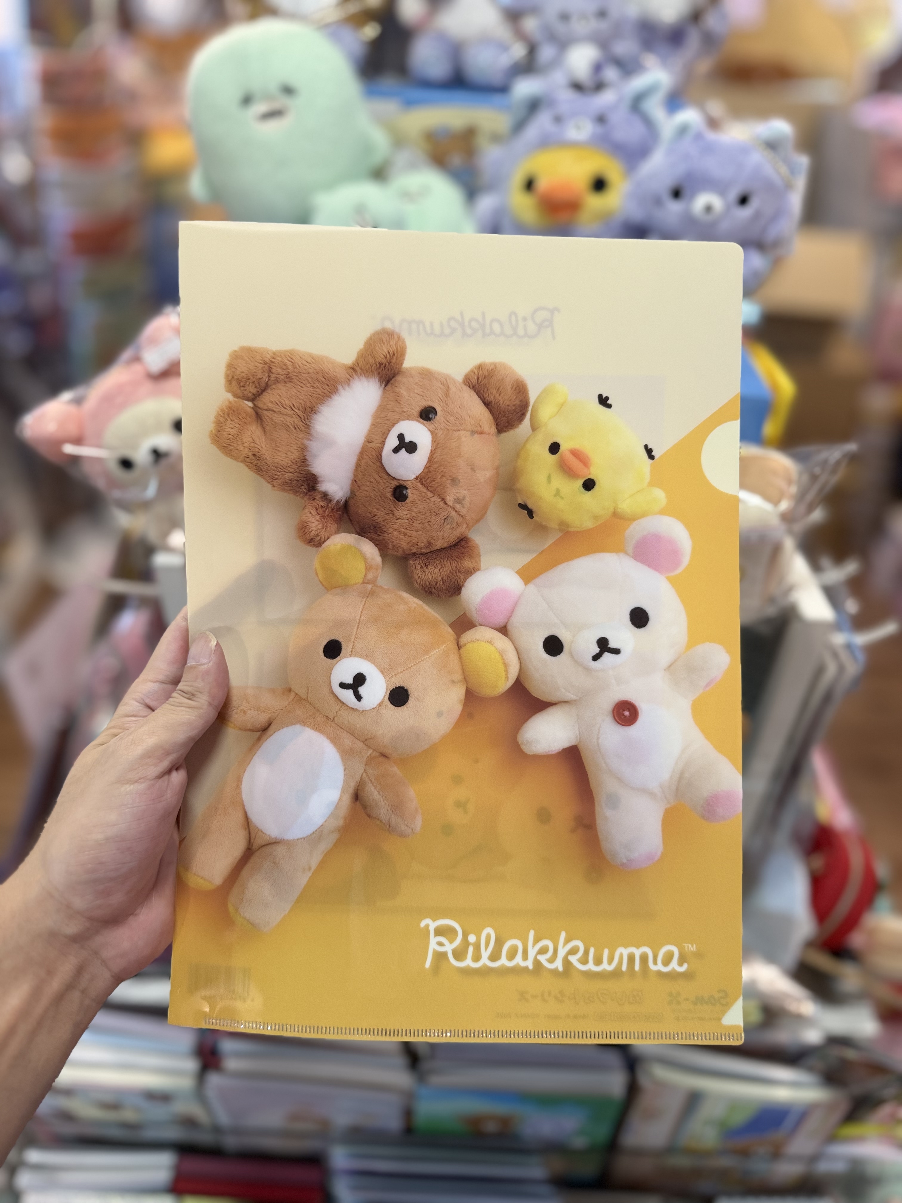 《現貨》全新rilakkuma寫真系列A4 file