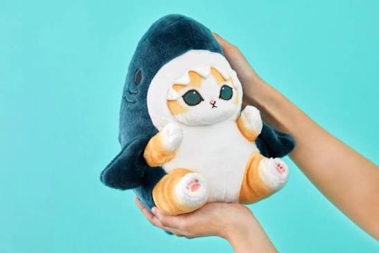 現貨 MOFUSAND 海洋系列 鯊魚貓 坐姿大公仔