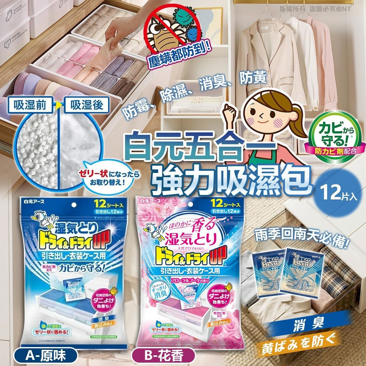 （約4月底到貨）🇯🇵白元五合一強力吸濕包💕