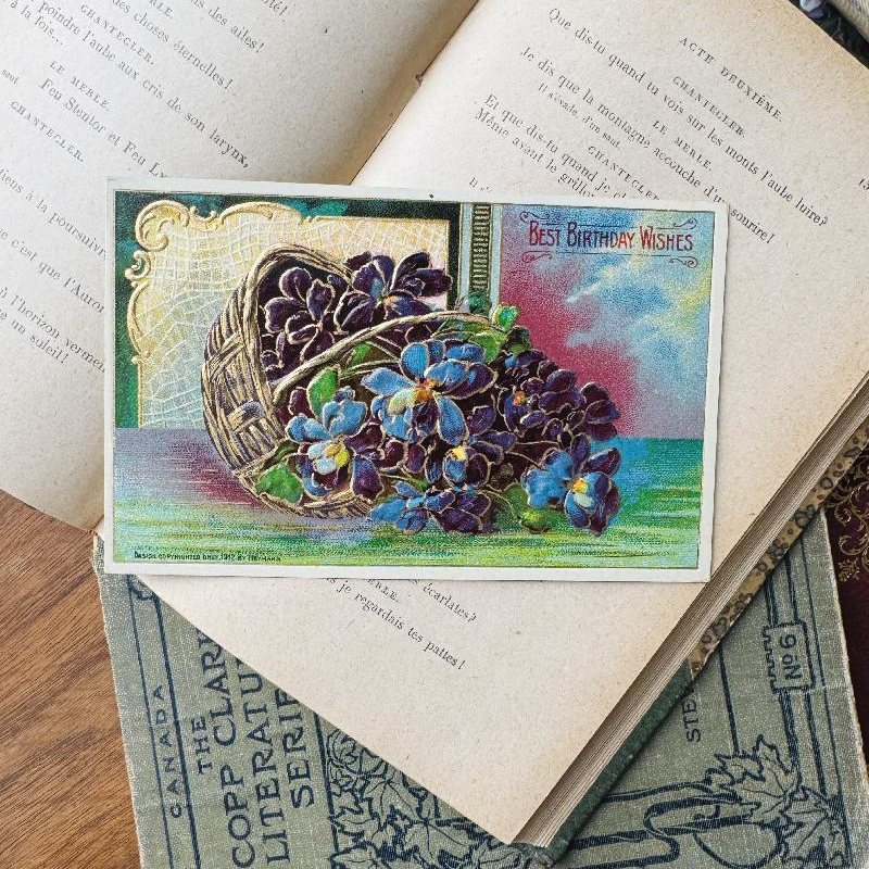 Antique 1912 Best Birthday Wishes Iris Basket Postcard - Embossed and with Golden Outline (MT2305-6)
