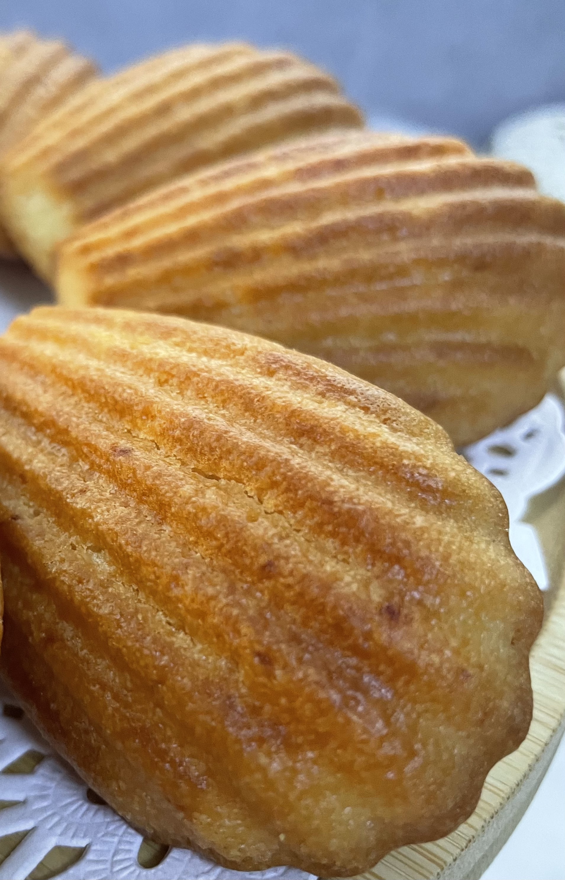 純素法式香橙瑪德蓮小蛋糕 (一套8件)