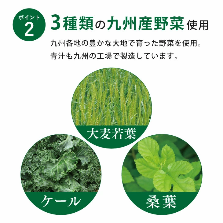 日本製 九州 Green Farm GABA 機能性青汁 3g × 30袋入 ＆ 青汁搖搖量杯