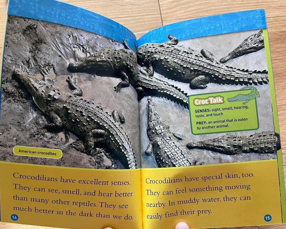 National Geographic Kids Level 2 國家地理分級讀物 第二季 L2 兒童百科書｜25 books｜點讀版