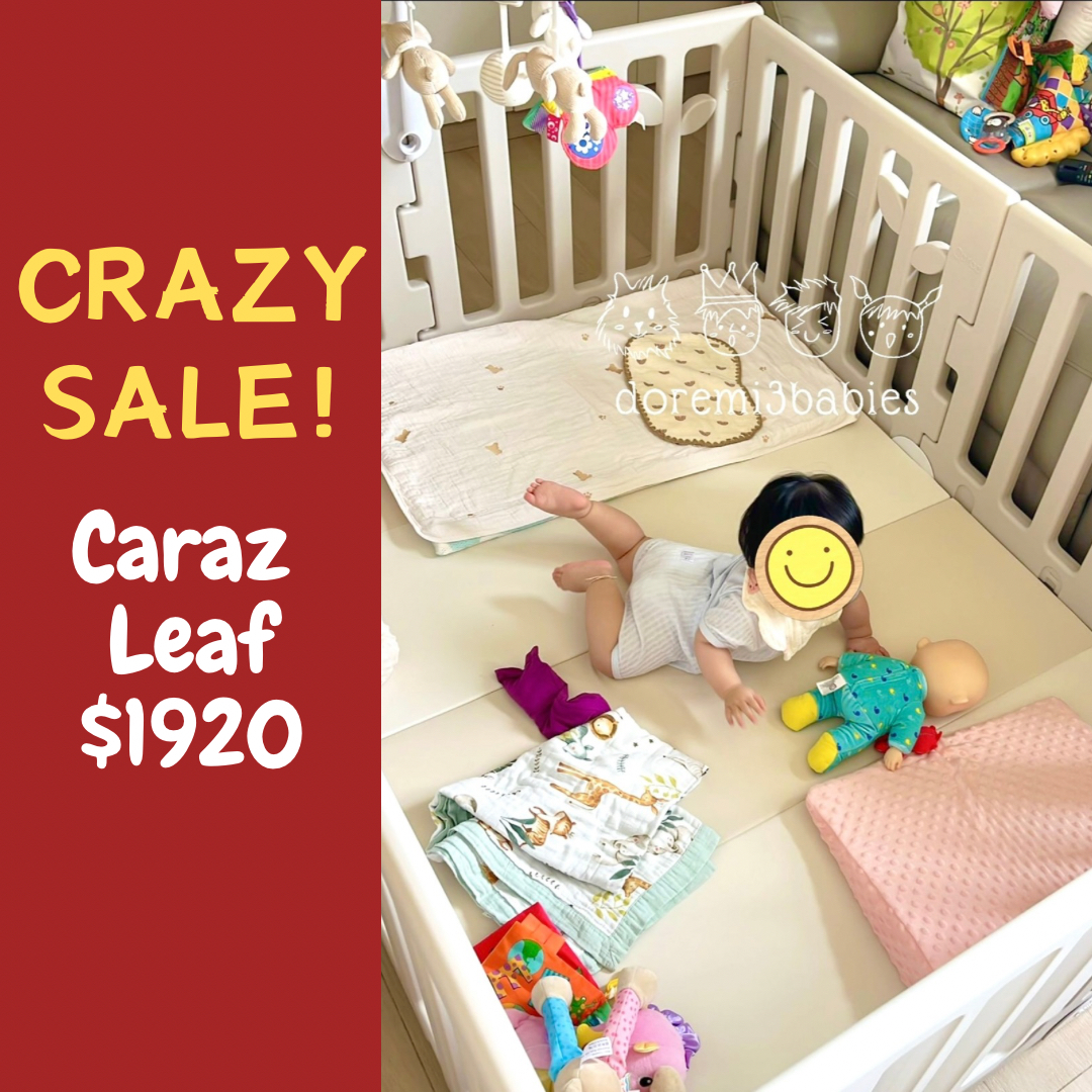 Caraz Leaf Cutie 圍欄地墊 120 X 160cm 套裝 [送直型卡扣4個]【現貨!】