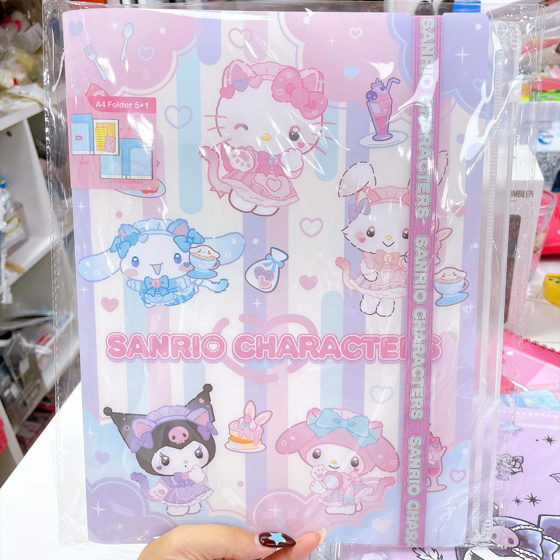 原裝行貨Sanrio  A4 文件夾