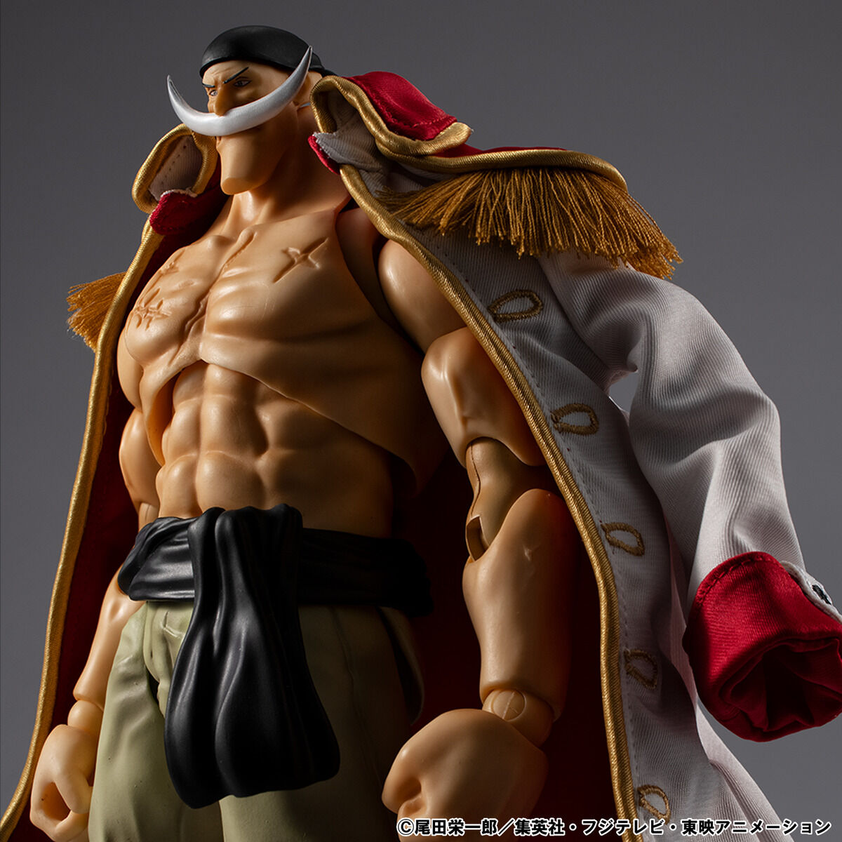 (預訂訂金 $400) (總價 $1050) MegaHouse Variable Action Heroes 海賊王 白鬍子 愛德華·紐歌特 (Ver1.5) (行版) VAH ONE PIECE Edward Newgate