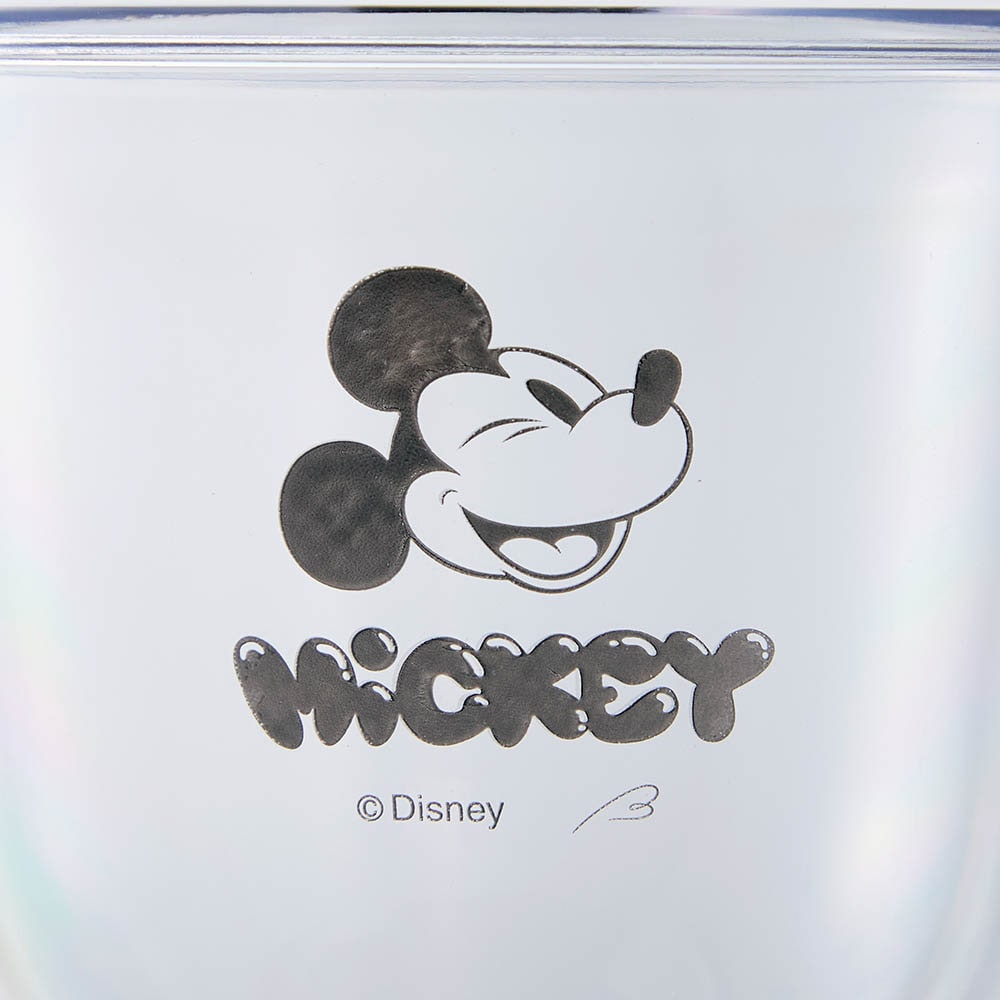 🆕【⭐訂購⭐】日本直送🇯🇵 🌀 #Disney #日本製 防碎雙層樹脂杯 ［3款選］🌀 [ELHD-0022][260905]