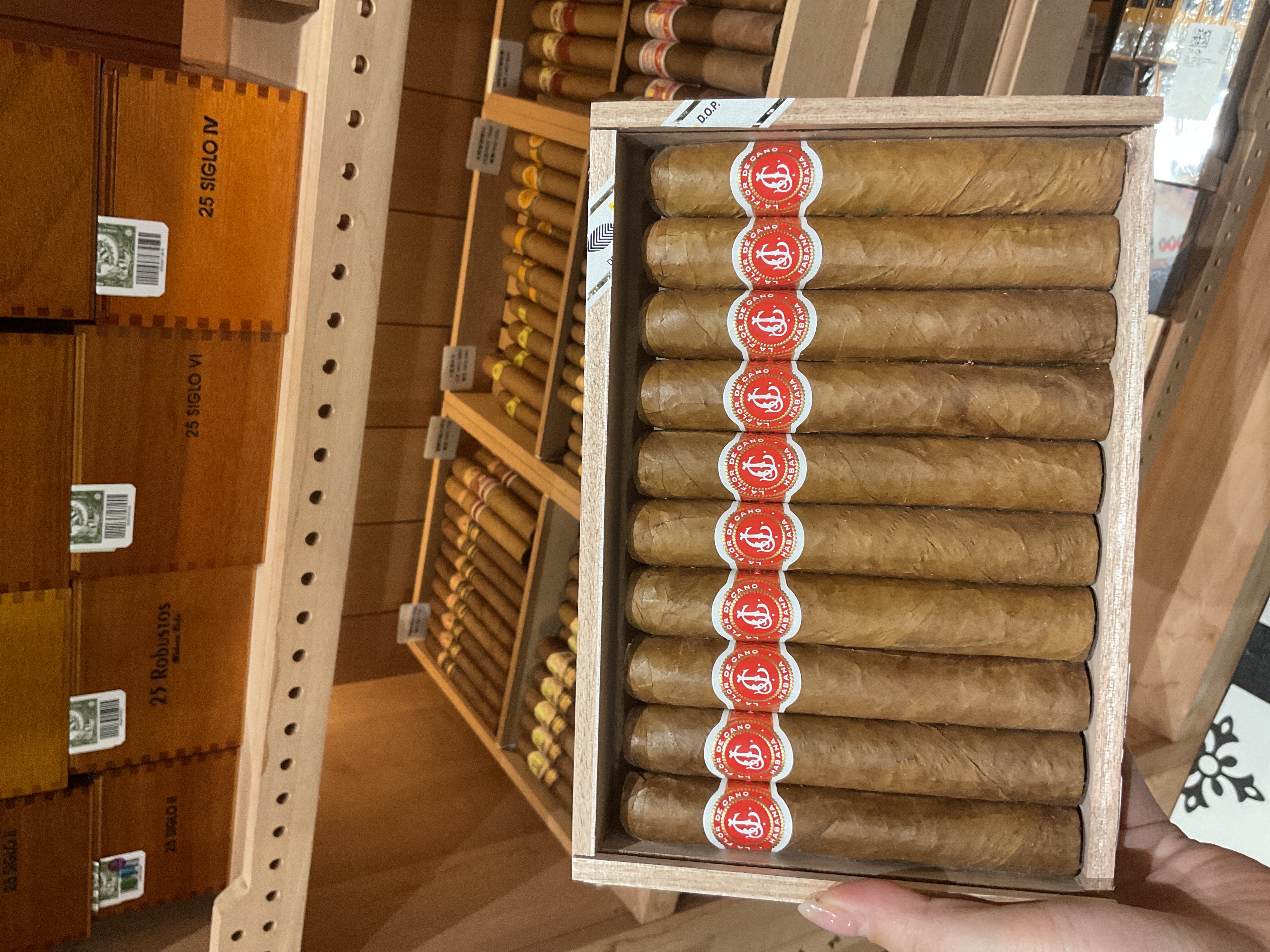 La Flor de Cano卡諾支花（10支）