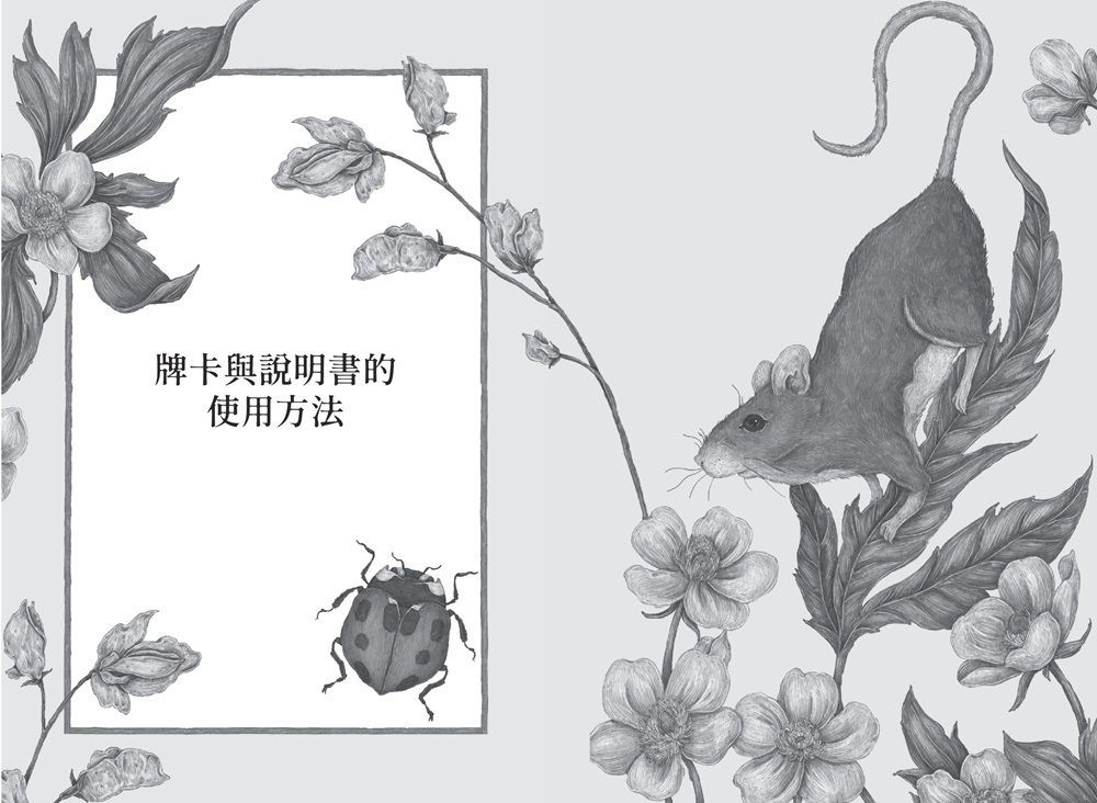 森林守護者神諭卡