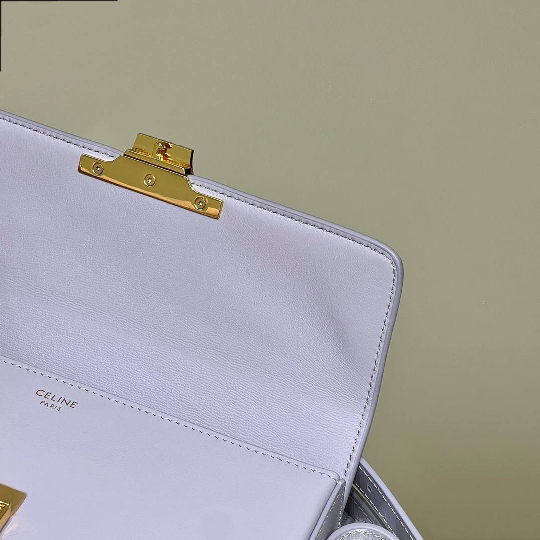 🔥大货实拍图 𝗖𝗘𝗟𝗜𝗡𝗘 ♥ 𝗧𝗥𝗜𝗢𝗠𝗣𝗛𝗘 𝗦𝗛𝗢𝗨𝗟𝗗𝗘𝗥 𝗕𝗔𝗚 型号：194143 尺寸：20*10*4cm