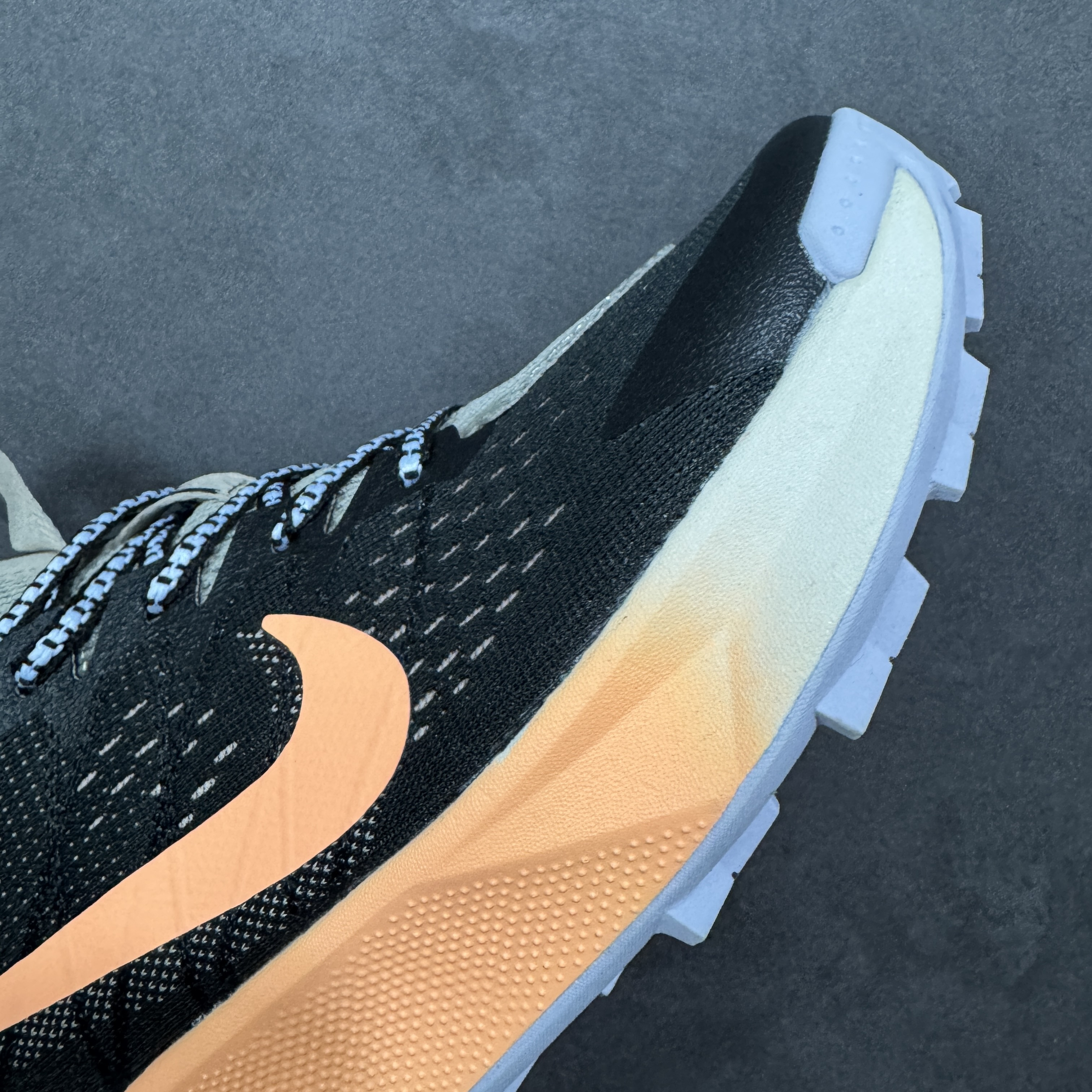 Nike Wildhorse 10 FV2338-006