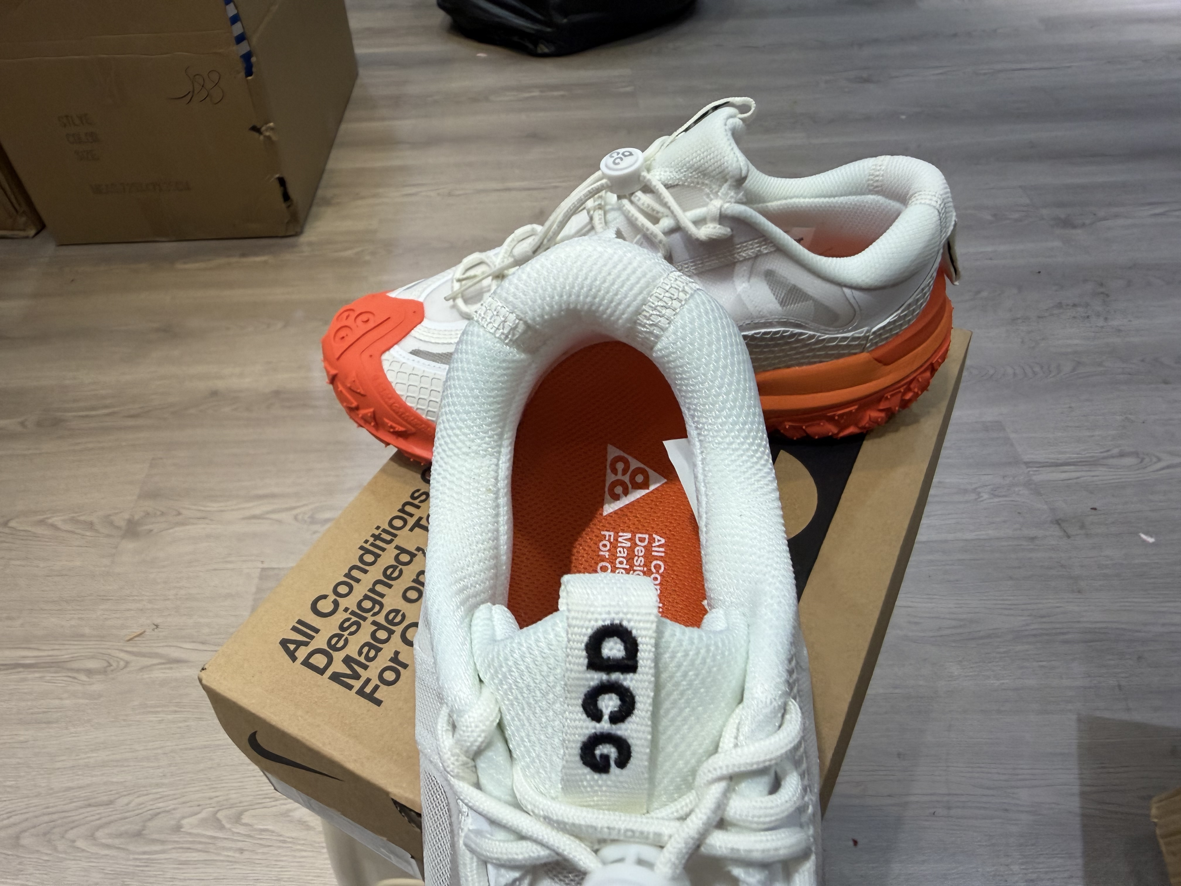 Nike ACG Mountain Fly 2 Low