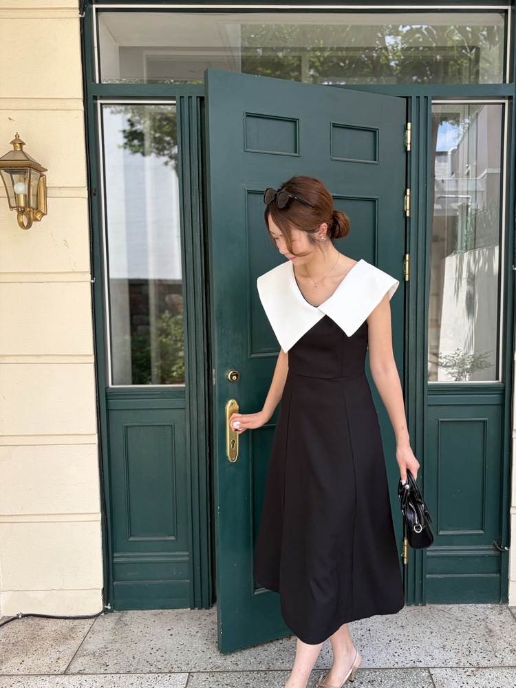 Celine Contrast Collar Dress