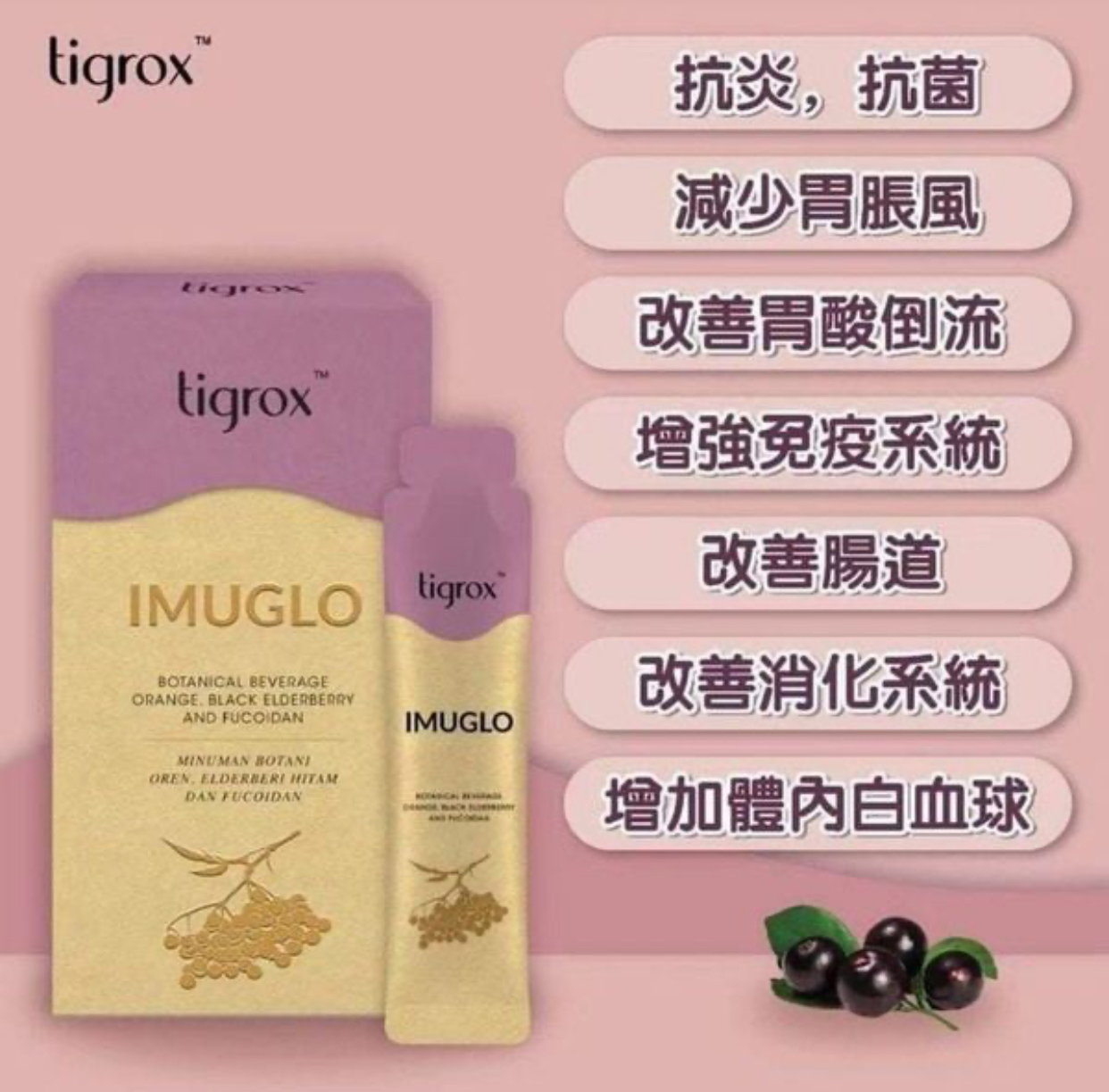 Tigrox IMUGLO 護胃寶 接骨木莓保健飲 (1盒20包) 抗疹寶 濕疹救星