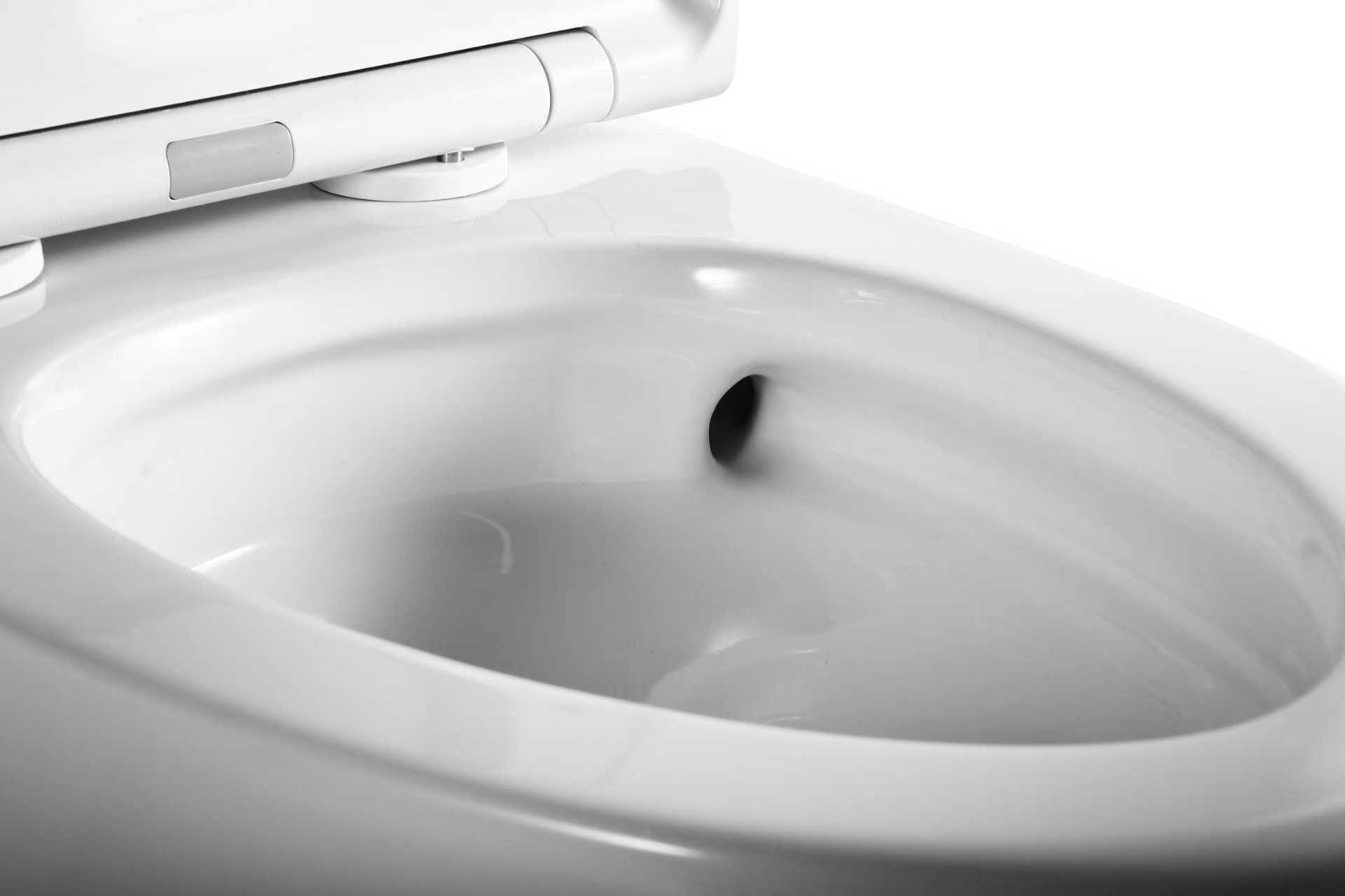 USEAT U6690 / 6690 RIMLESS 新款 旋渦式分體自由咀座廁（送英國風琴喉）