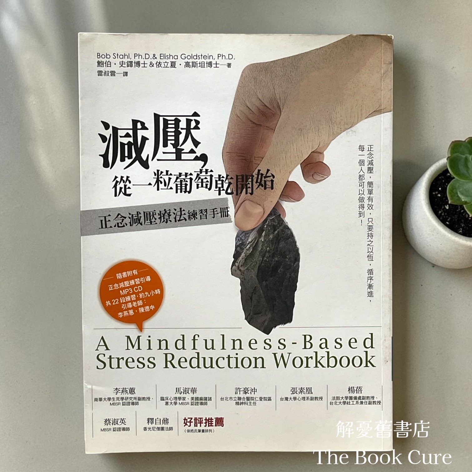 減壓，從一粒葡萄乾開始：正念減壓療法練習手冊 / 鮑伯．史鐸 著