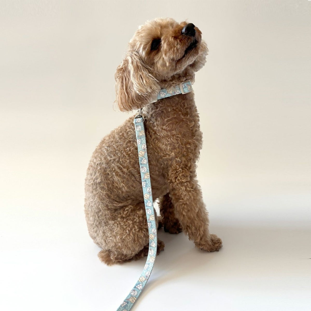 🌸 【預訂】Chiikawa 小型犬用 狗帶 