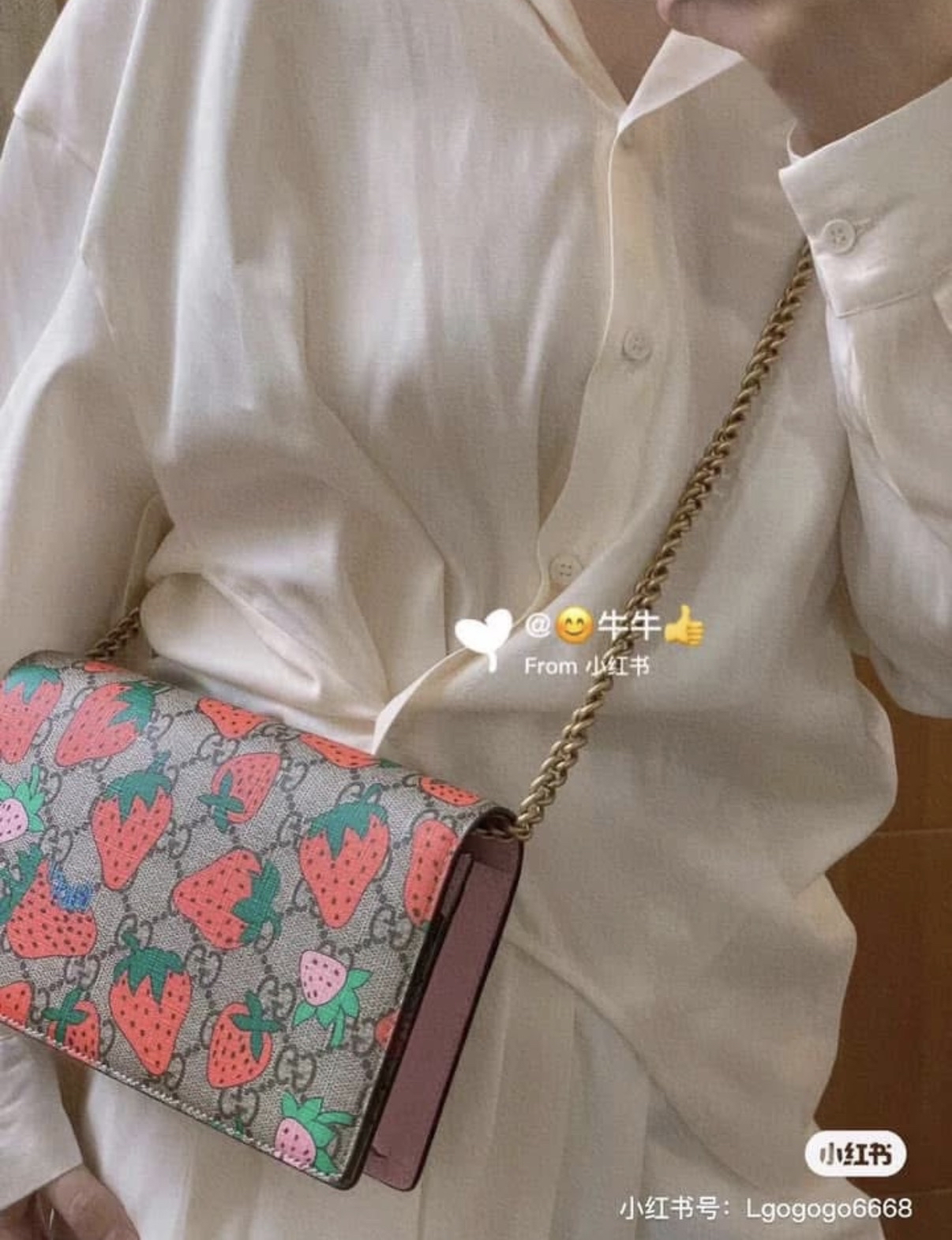 Gucci 🍓woc