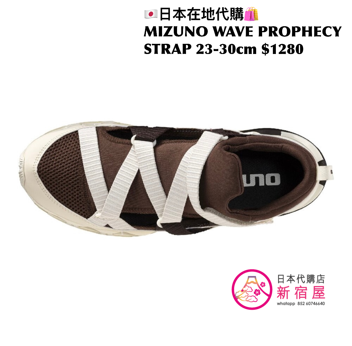 MIZUNO WAVE PROPHECY STRAP 日本限定
