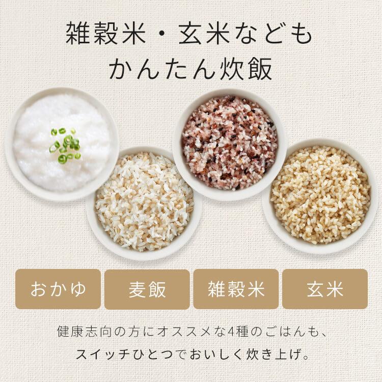 IRIS OHYAMA 小型低糖電飯煲 1.7l /3L 香港三腳插頭 (預購產品)