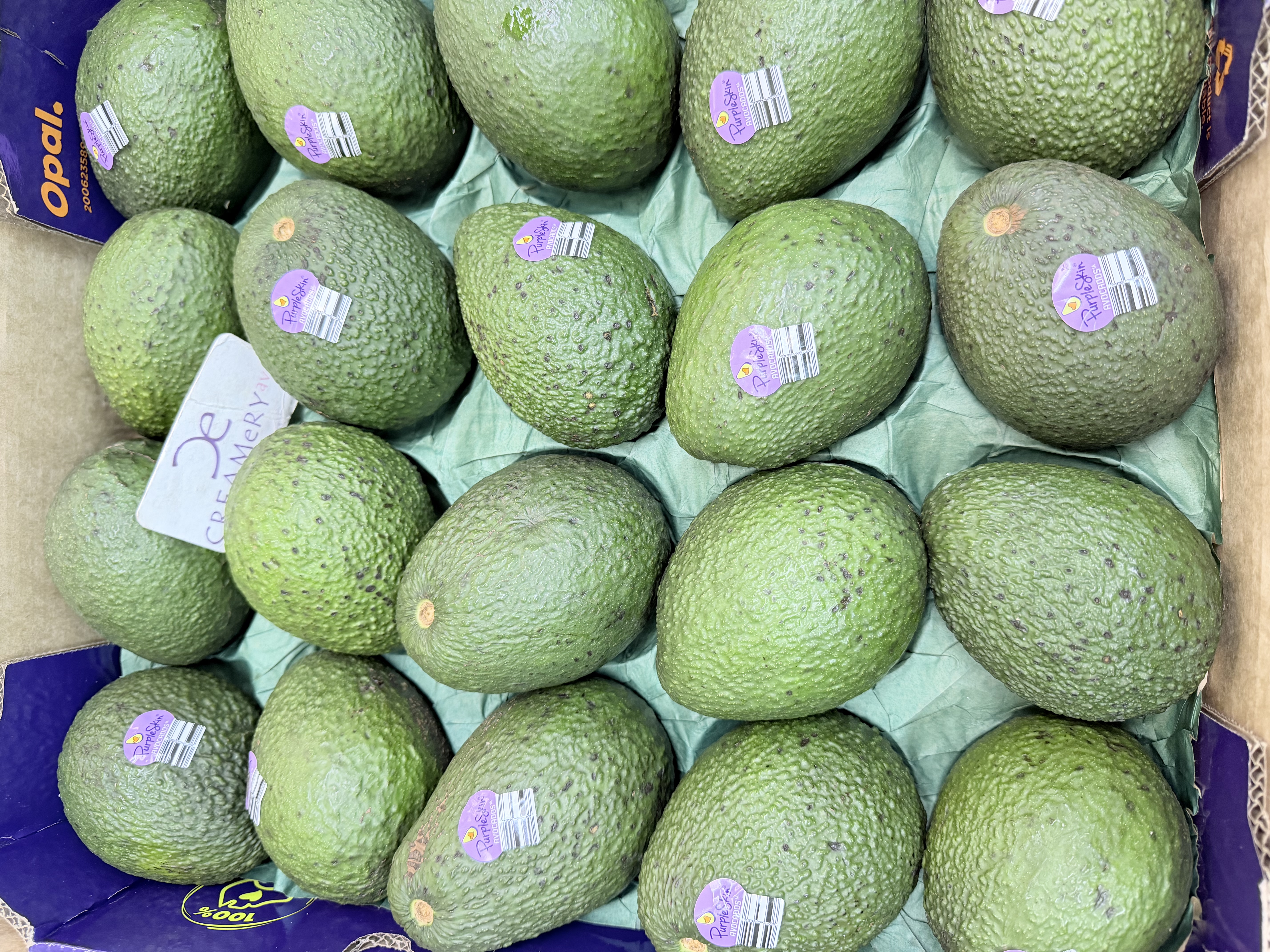 澳洲Hass 牛油果 Avocado 20裝 3個