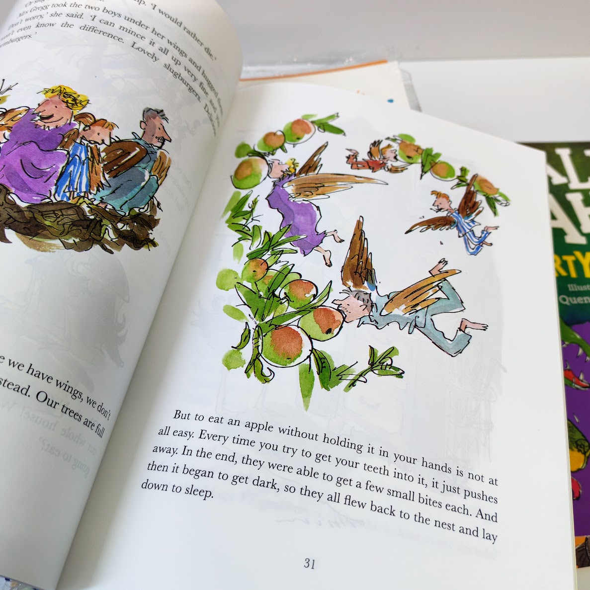 Roald Dahl 20 books  | A4 size  羅爾德達爾奇幻故事彩裝版大全套   B020